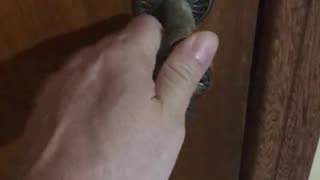 How to open the door