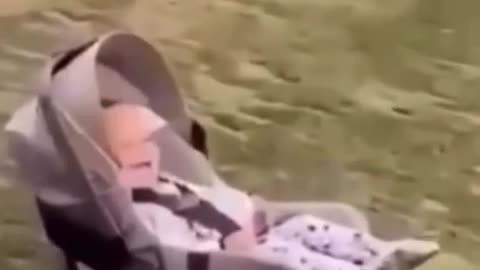 The best Funny Baby video!