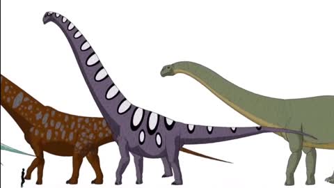Does the Bible (Job 40) Describe a Sauropod Dinosaur (Behemoth)?