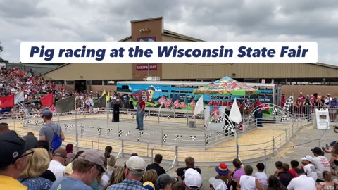 Wisconsin State Fair Pig Racing