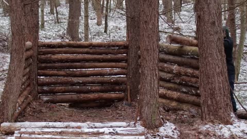 Building a Warm Shelter in the Wild Forest Shorts