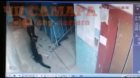 Man caught on camera abusing his dog