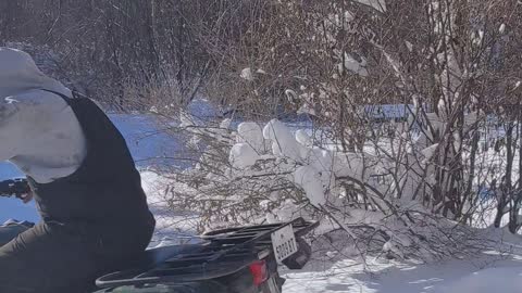 Guy Hits His Head on Garage Door