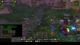 Turtle Wow - ZG PUG run - 23 March - paladin POV