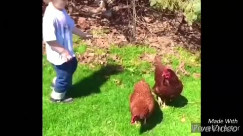 Funny chicken vs human 😂