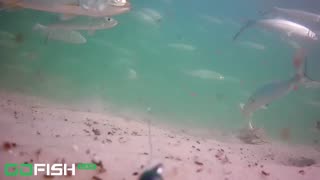 Attached an Underwater Camera to my Fishing Line