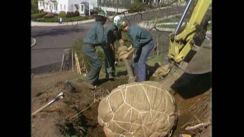 This Old House: Dorchester (15June1979) Adding Curb Appeal