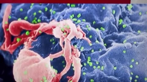 “Every virus since HIV has been a gain of function deployed ‘infection by injection’…HIV was spread