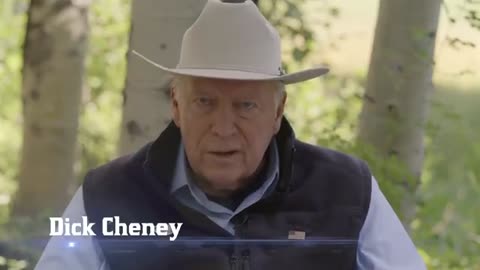 Absolute state of Dick Cheney: "In our nation’s 246-year history, there has never been an individual