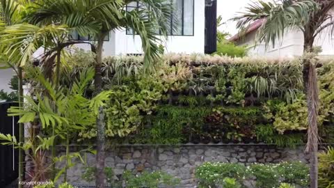 How to grow more vegetables with less space | EcoWall (Vertical Garden)