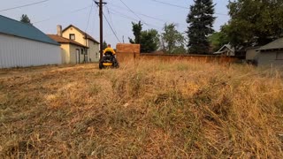 My First City Violation Cut | Overgrown Property Mowing [Neighbors Complained]