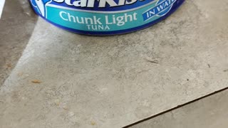 Eating Starkist Chunk Light Tuna, Dbn, MI, 10/4/23