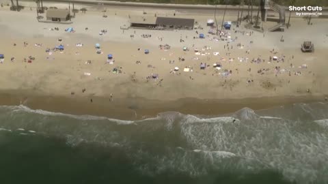 California beach closed after surfer knocked off board by 'aggressive' shark