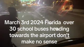 30 school buses captured on video headed to Tampa International Airport in Florida at 3am