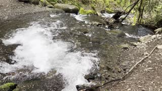 The Start of Dry Creek – Dry Creek Falls – Columbia River Gorge – Oregon – 4K