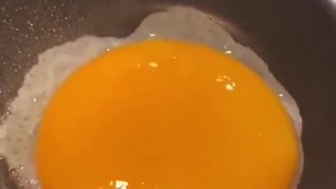 Ostrich Egg For Breakfast