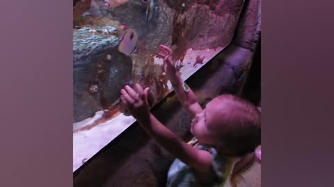 Beluga Whale is AMAZED by Tricks!