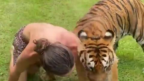 PLAYING WITH TIGERS!