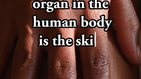 Fun Facts about the Human Body