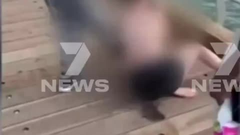 A Group of Black People Jump An Autistic 14 Year Old White Girl In Melbourne Australia