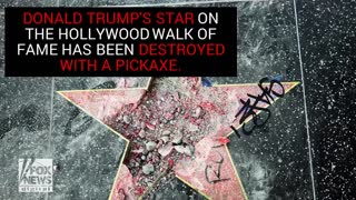 Hollywood City Council To Vote On Removing Trump's Star