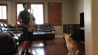 Doggy Joins Duet With Saxophone