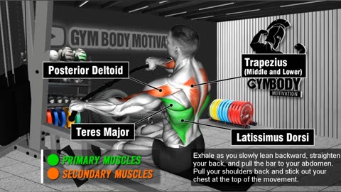Back Workout Winder - 8 Best Exercise For BackWinder Workout At Gym .. GYM BODY MOTIVATION