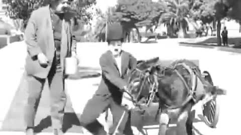 Donkey In Trouble: Charlie Chaplin New Clip