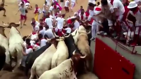 🇪🇦 #Spain In Spanish pamplona in full swing annual bull run.