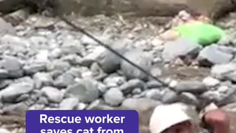 Rescue worker saves cat from floods in Pakistan