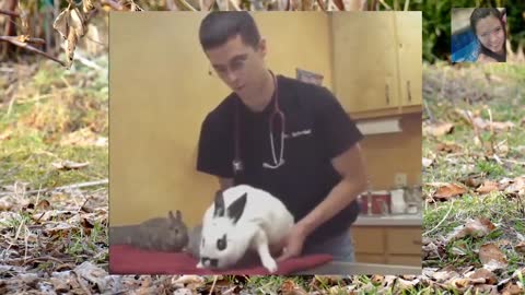 How To Pick Up A Bunny Properly #Rabbit Farming