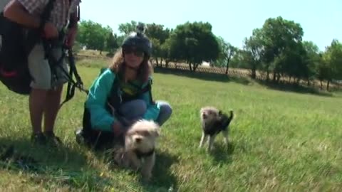 Amazing Flying Dogs: Watch These Talented Canines Take to the Skies!