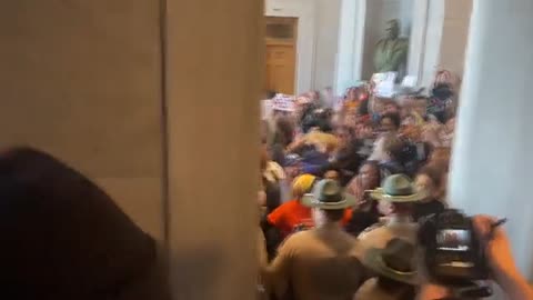 Violent left wing protesters have started an insurrection at the Tennessee state capitol.