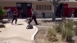 School Fight pt.1