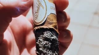 Florida Tobacco In A Davidoff?? 😮🤔 | #Davidoff #CigarLife #Cigars #Cigar #Florida #Fyp #Fy