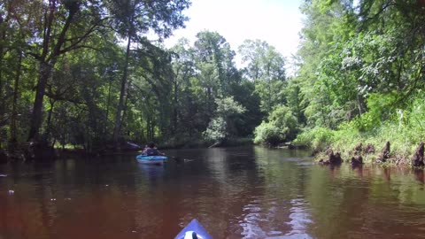 Sat 6/1/24 Lumber R - Three Bridges Rd. to Lowe Rd. near Pembroke with my Grandson