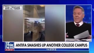 Greg Gutfeld on Differences Between Privileged ‘Celebrity Woke’ & ‘Useful Woke’