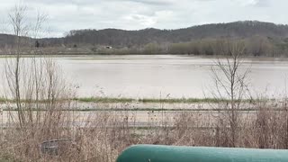 Flooding in the cow field | The Rural Outdoors