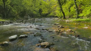 4K Relaxing River - Ultra HD Nature Video - Water Stream & Birdsong Sounds - SleepStudyMeditate