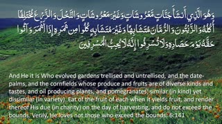 Surah 6 - Al-Anam (The Cattle): 🔊 ARABIC and 🔊 ENGLISH Recitation with Subtitles. Nature Backgrounds