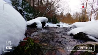 🔴Nature Euphoria | Winter Watch | Video 003