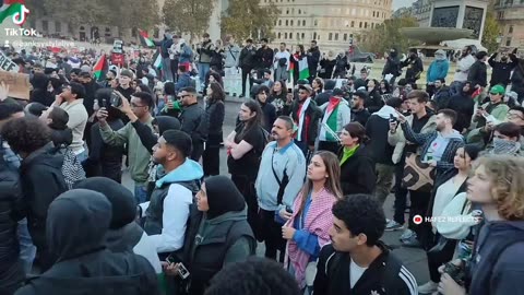Pro Palestinian protest attacks on the police