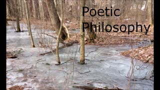 077 Poetic Philosophy just the poems