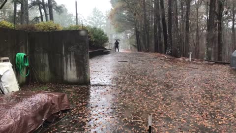 TuTuBird Walking in the Rain!