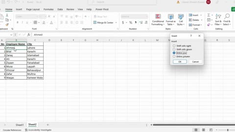 How to Add Rows & Columns in MS Excel