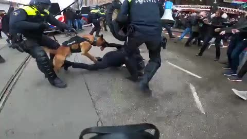 Politiet går amok på demonstranter i Amsterdam