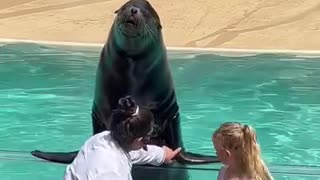 Little girls takes a selfish with a walrus