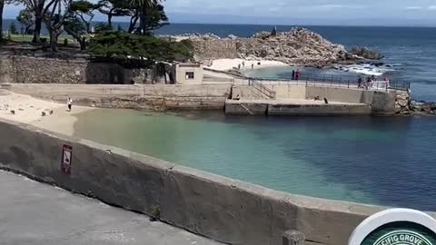 I guarantee you won't look at Monterey Bay the same after this video