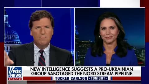 Tulsi Gabbard tells Tucker the Biden admin have been 'busted' on 'absurd cover-up'