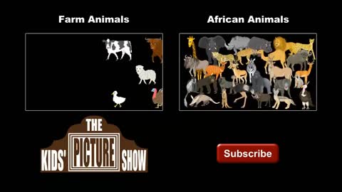 North American Forest Mammals - Forest Animals - The Kids' Picture Show